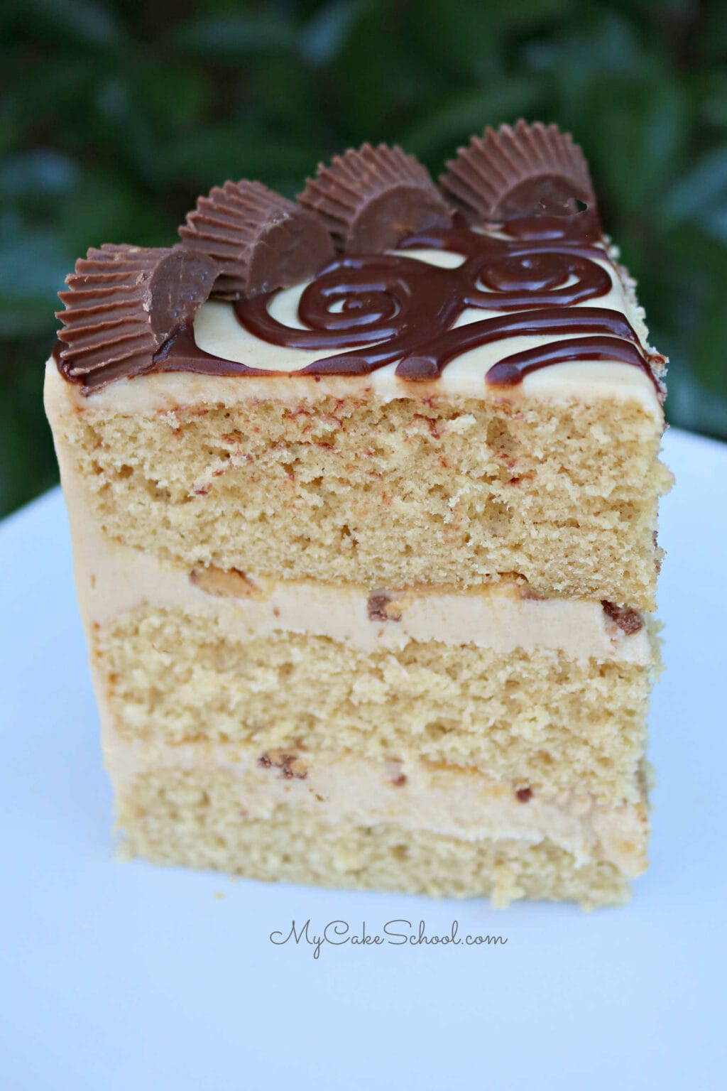 Peanut Butter Cake {A Doctored Cake Mix Recipe} My Cake School
