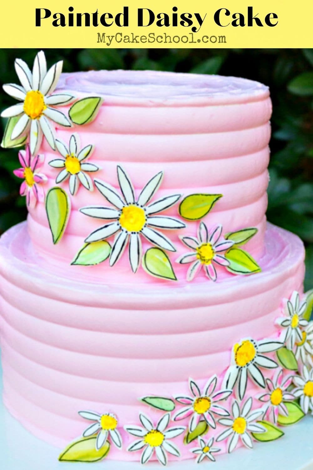 Painted Daisy Cake