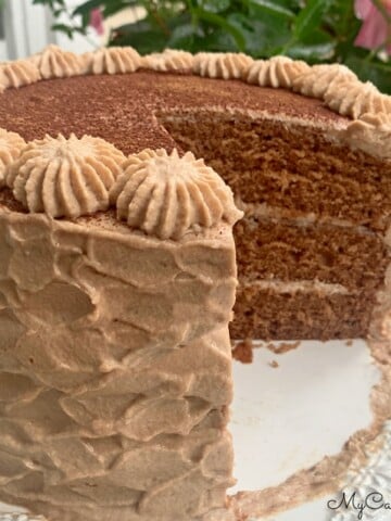 Chocolate Tiramisu Cake on white pedestal
