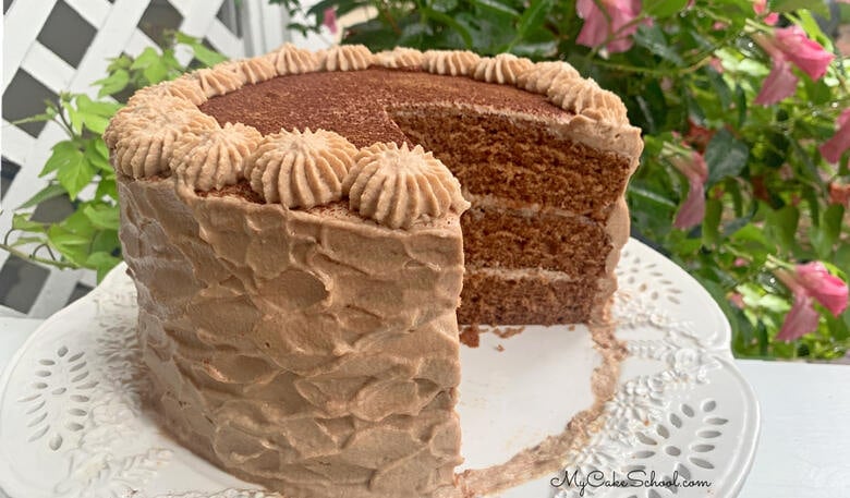 Chocolate Tiramisu Cake on white pedestal