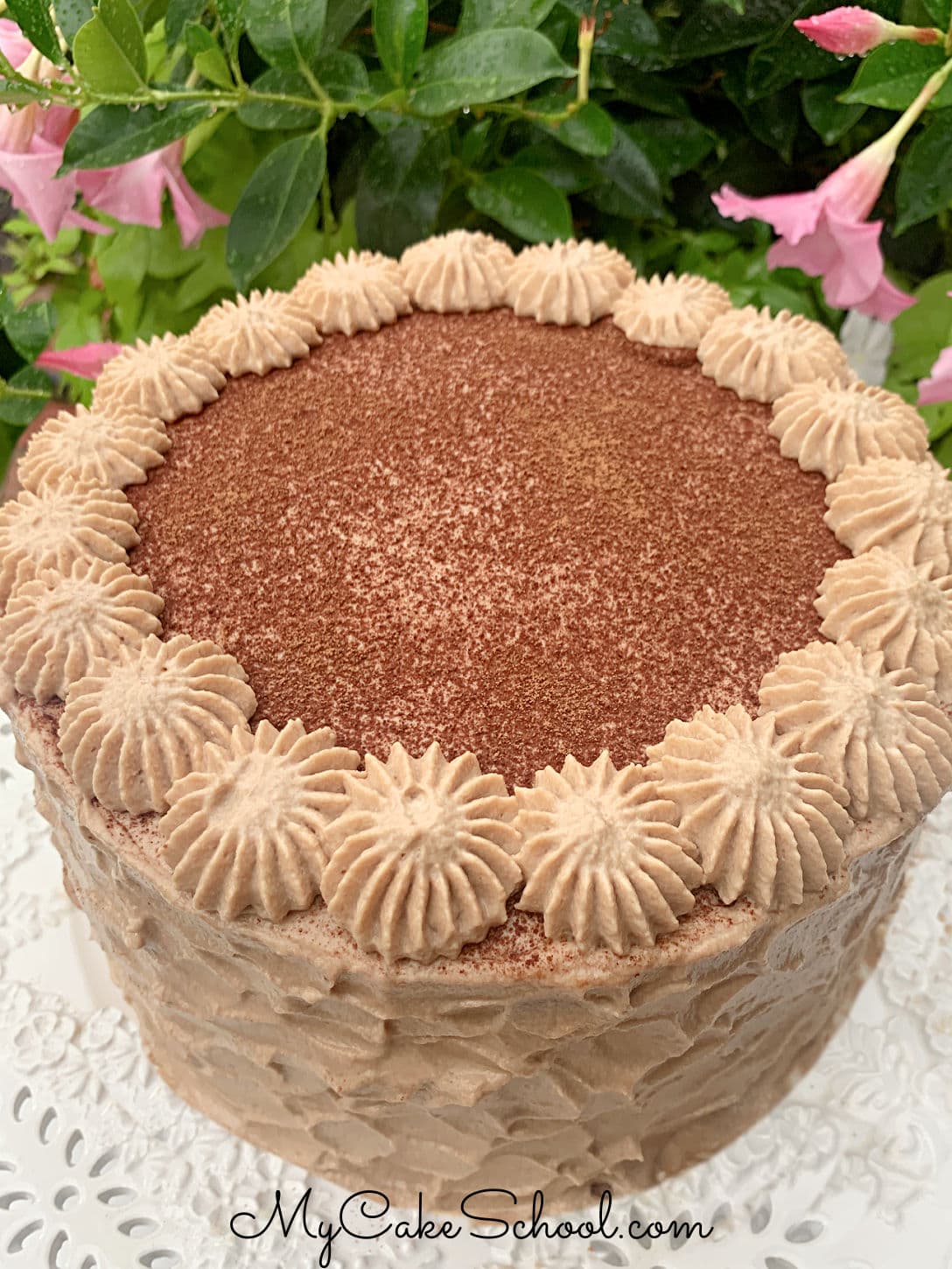 Chocolate Tiramisu Cake