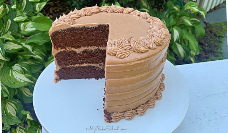 Dark Chocolate Cake with Chocolate Cream Cheese Buttercream