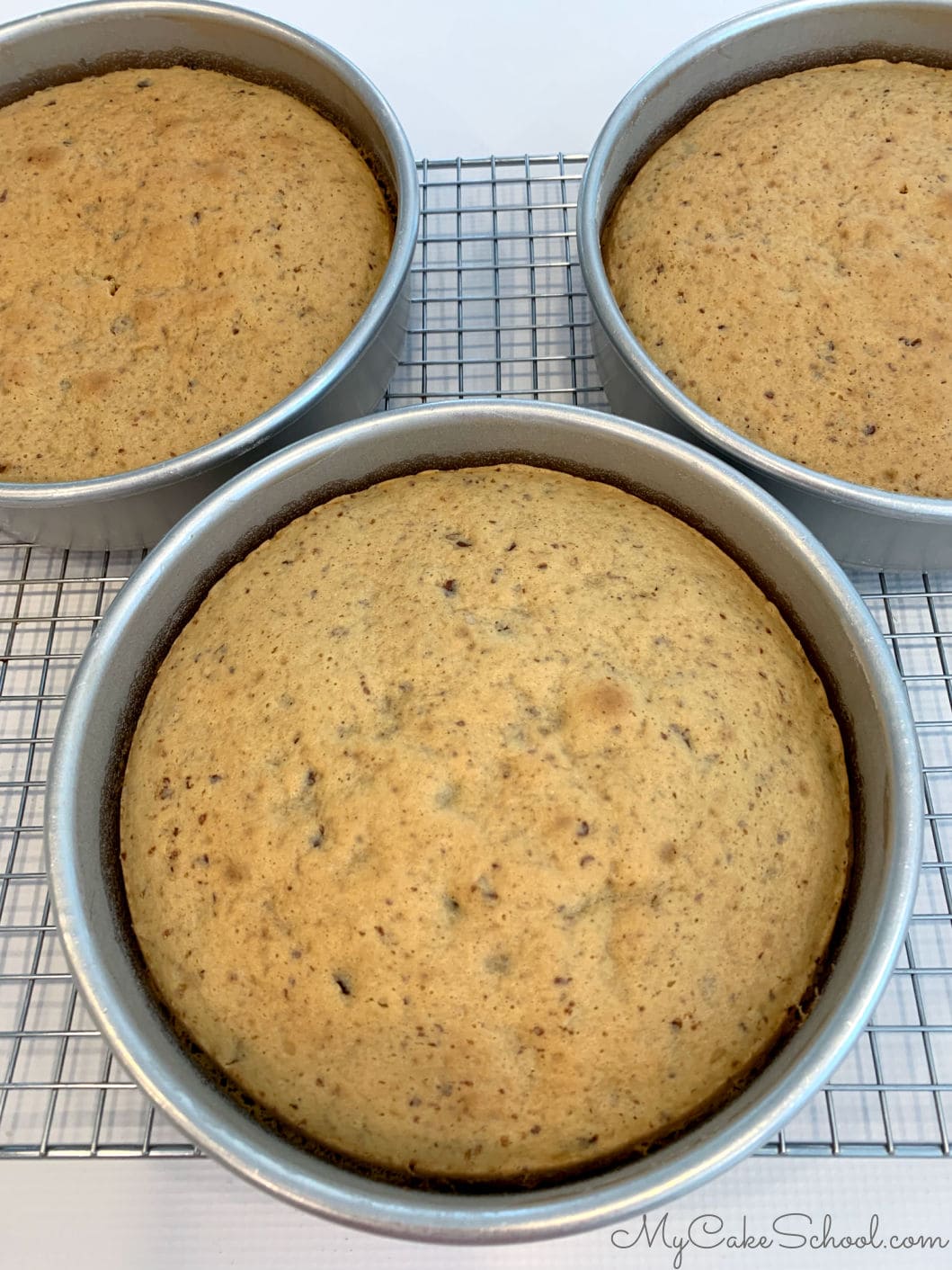 Chocolate Chip Pecan Cake
