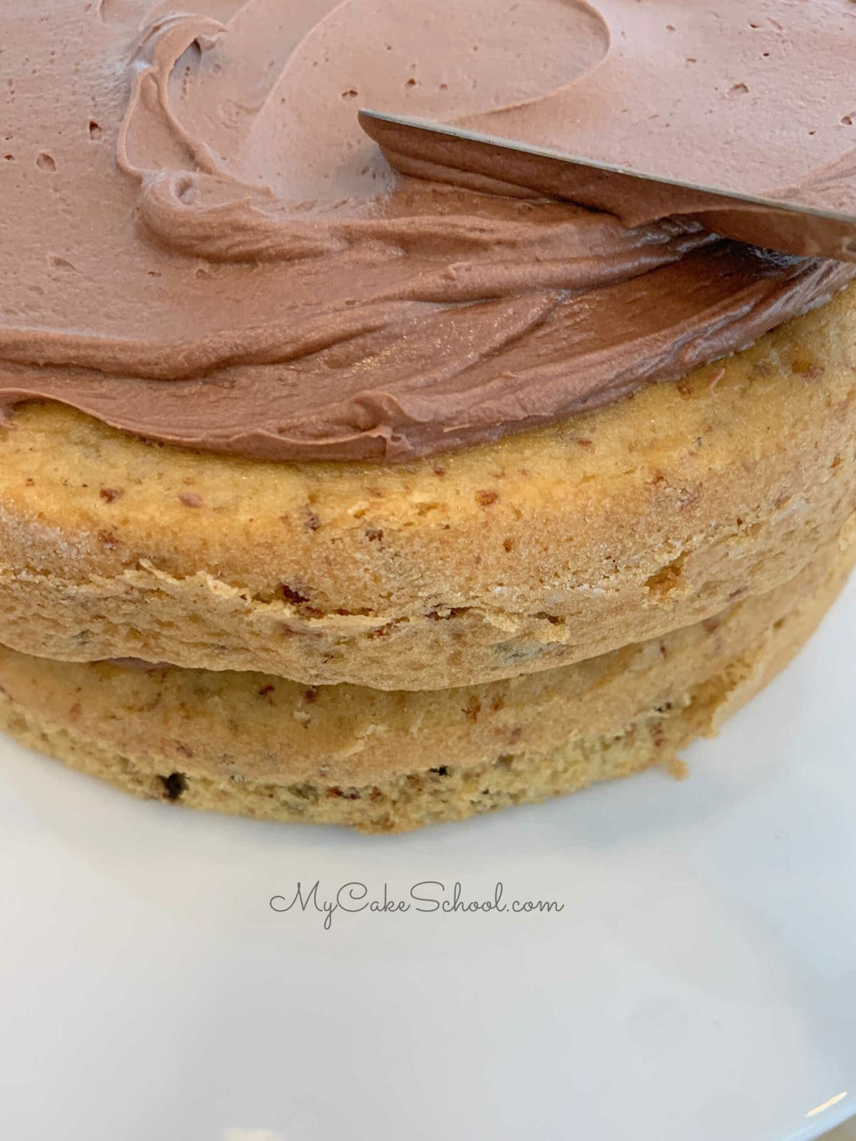 Chocolate Chip Pecan Cake- A Doctored Cake MIx Recipe