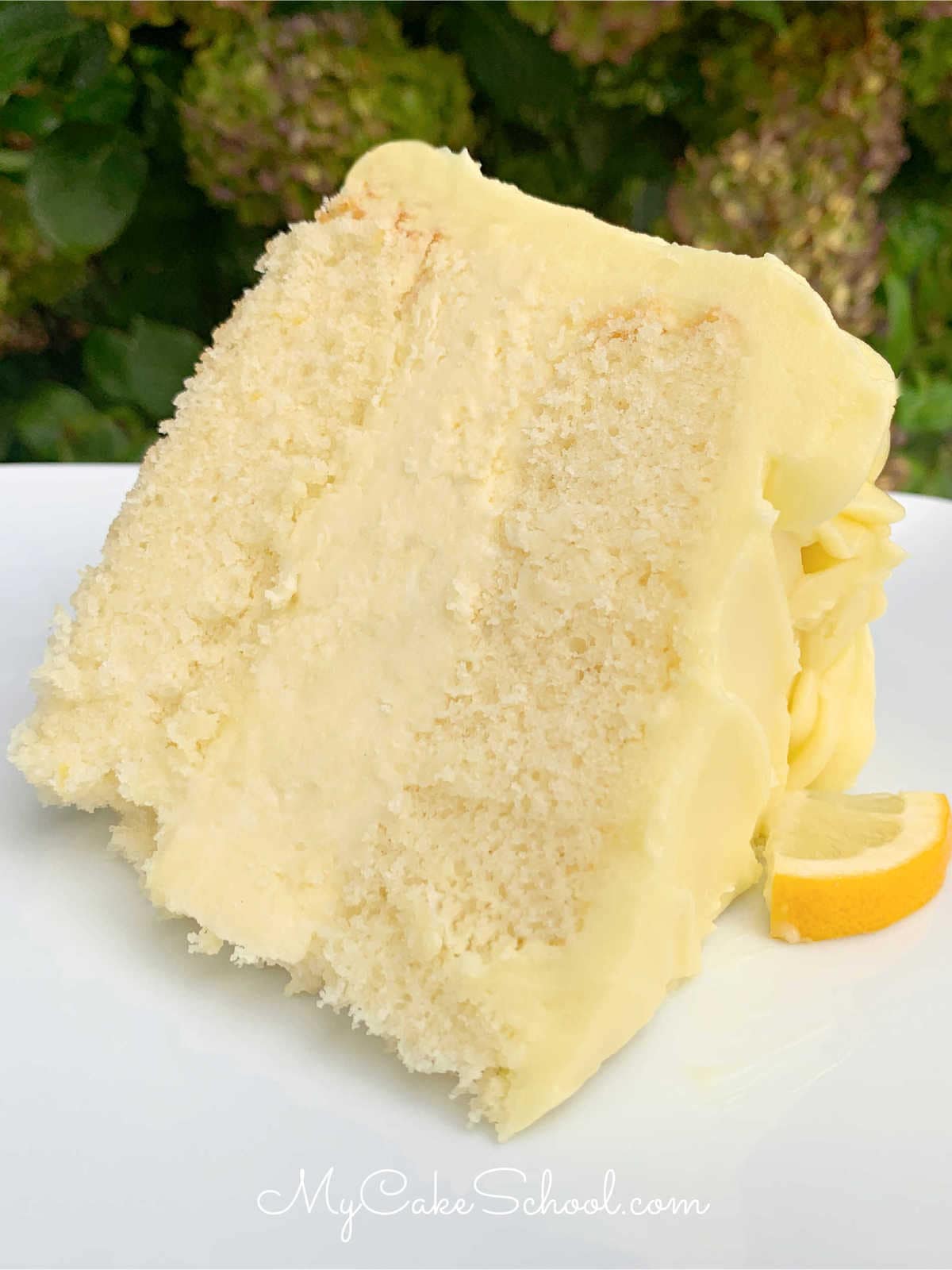 Slice of Lemon Cheesecake Cake- So moist and delicious!