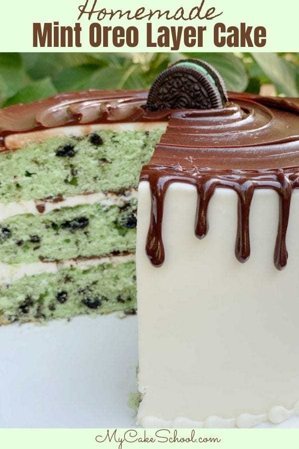 Mint Oreo Cake Recipe 