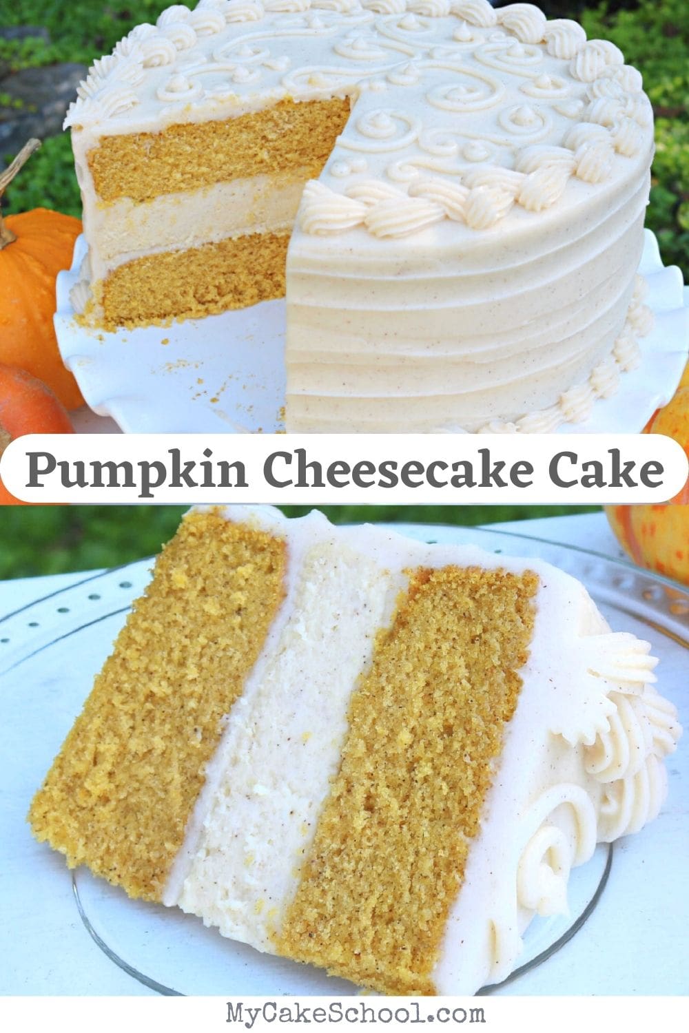 Pumpkin Cheesecake Cake- So moist and delicious!
