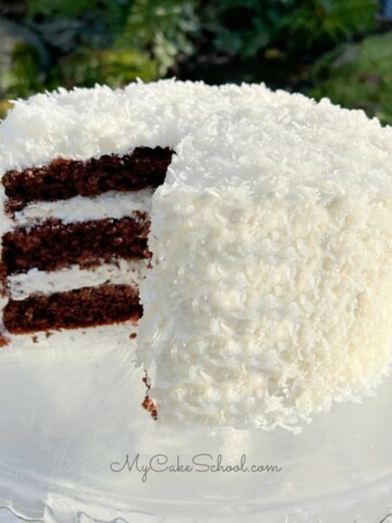 Chocolate Coconut Cake