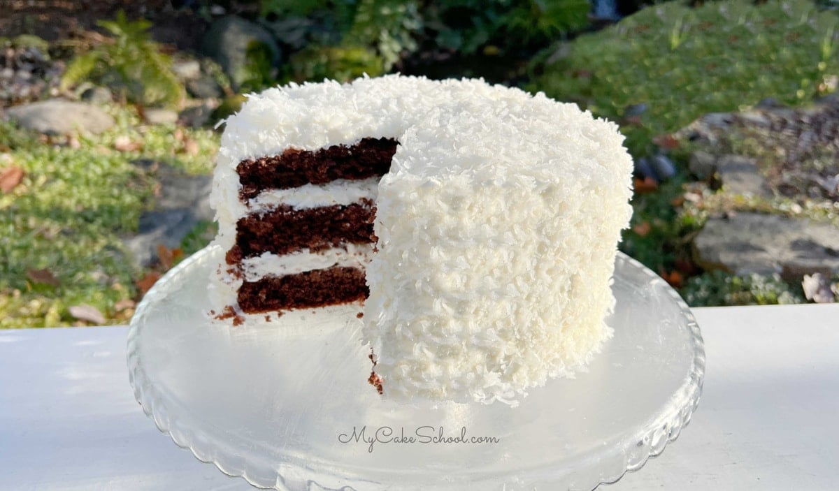 Chocolate Coconut Cake