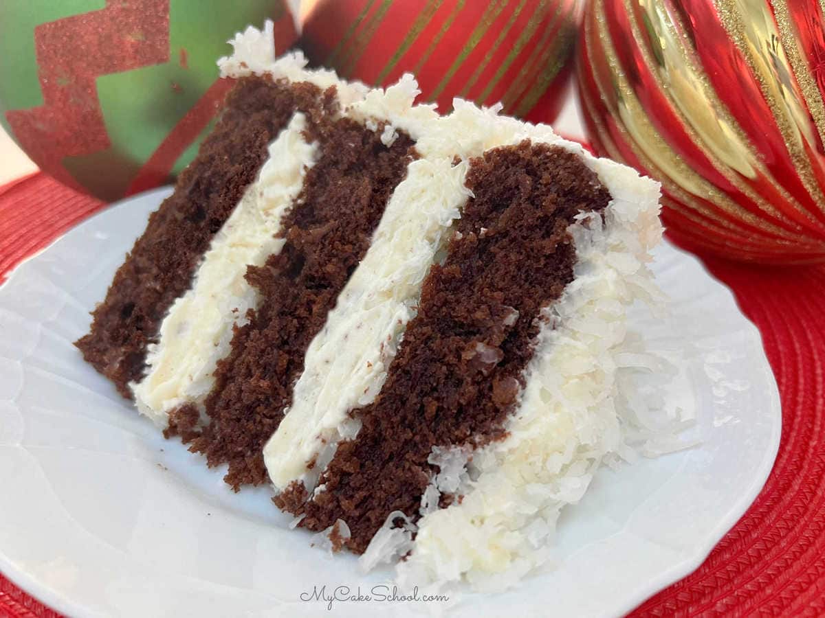 Chocolate Coconut Layer Cake Slice