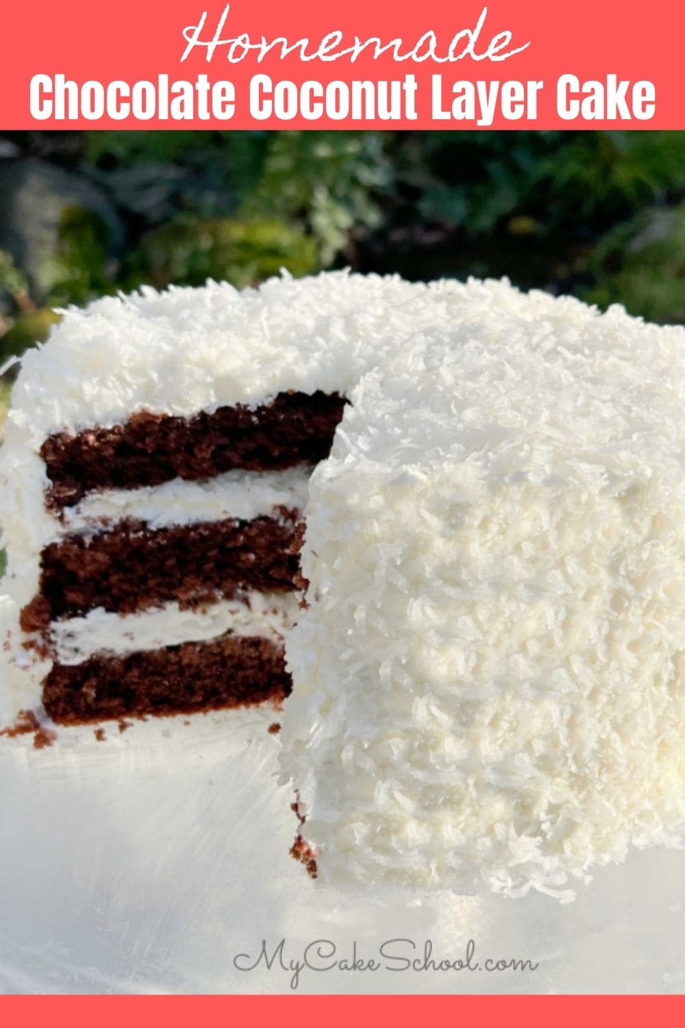 Chocolate Coconut Cake