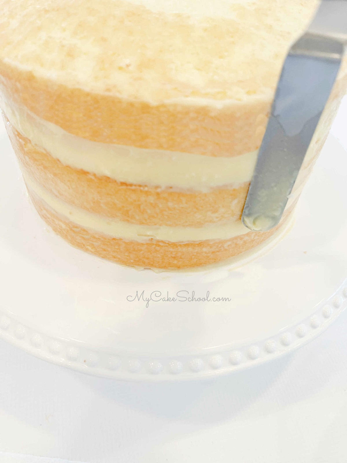 Boston Cream Pie- A Layer Cake