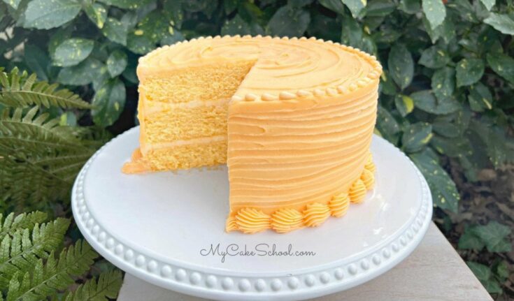 Orange Vanilla Bean Cake