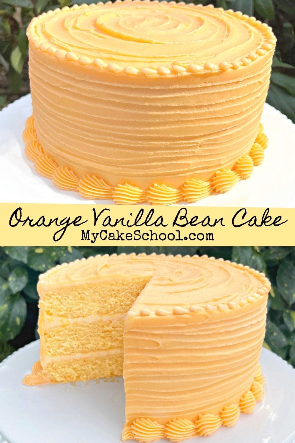 Delicious Orange Vanilla Bean Cake