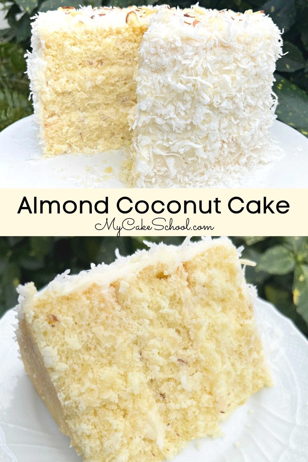 Almond Coconut Cake My Cake School