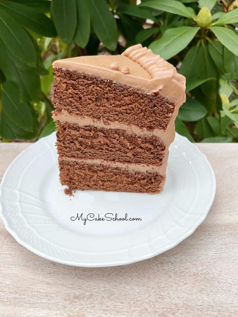 Slice of Chocolate Velvet Cake