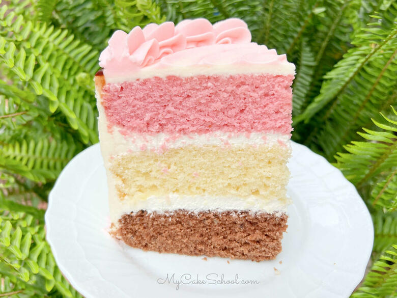 Neapolitan Cake Slice