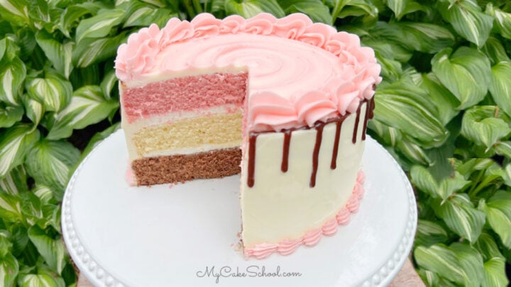 Neapolitan Cake - My Cake School
