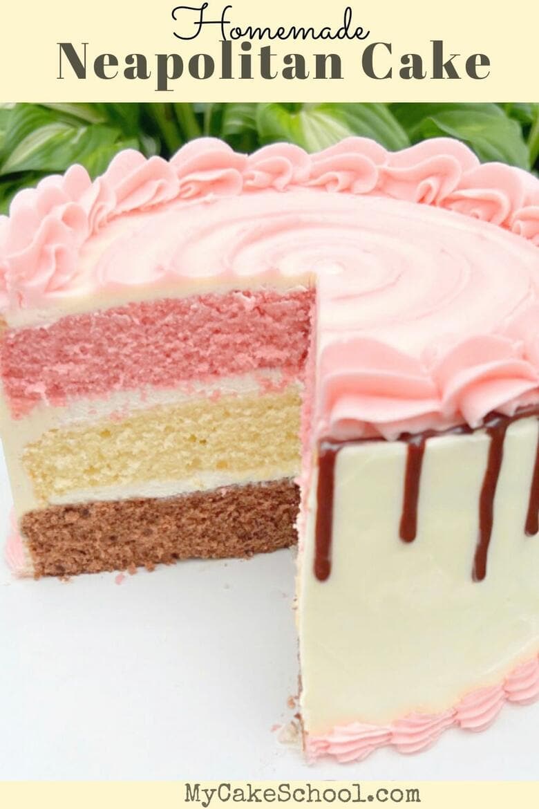 Neapolitan Cake