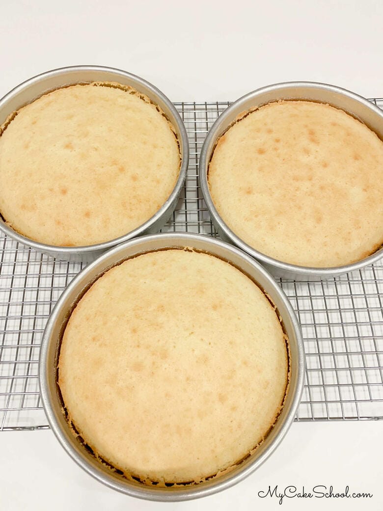 Vanilla Buttermilk Cake Layers