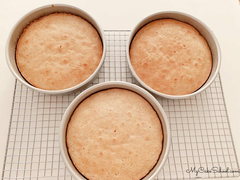 Apple Cinnamon Cake Layers in Pans