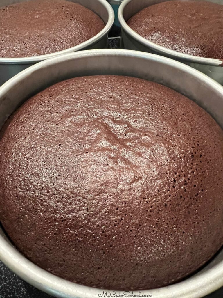 Chocolate Fudge Cake My Cake School