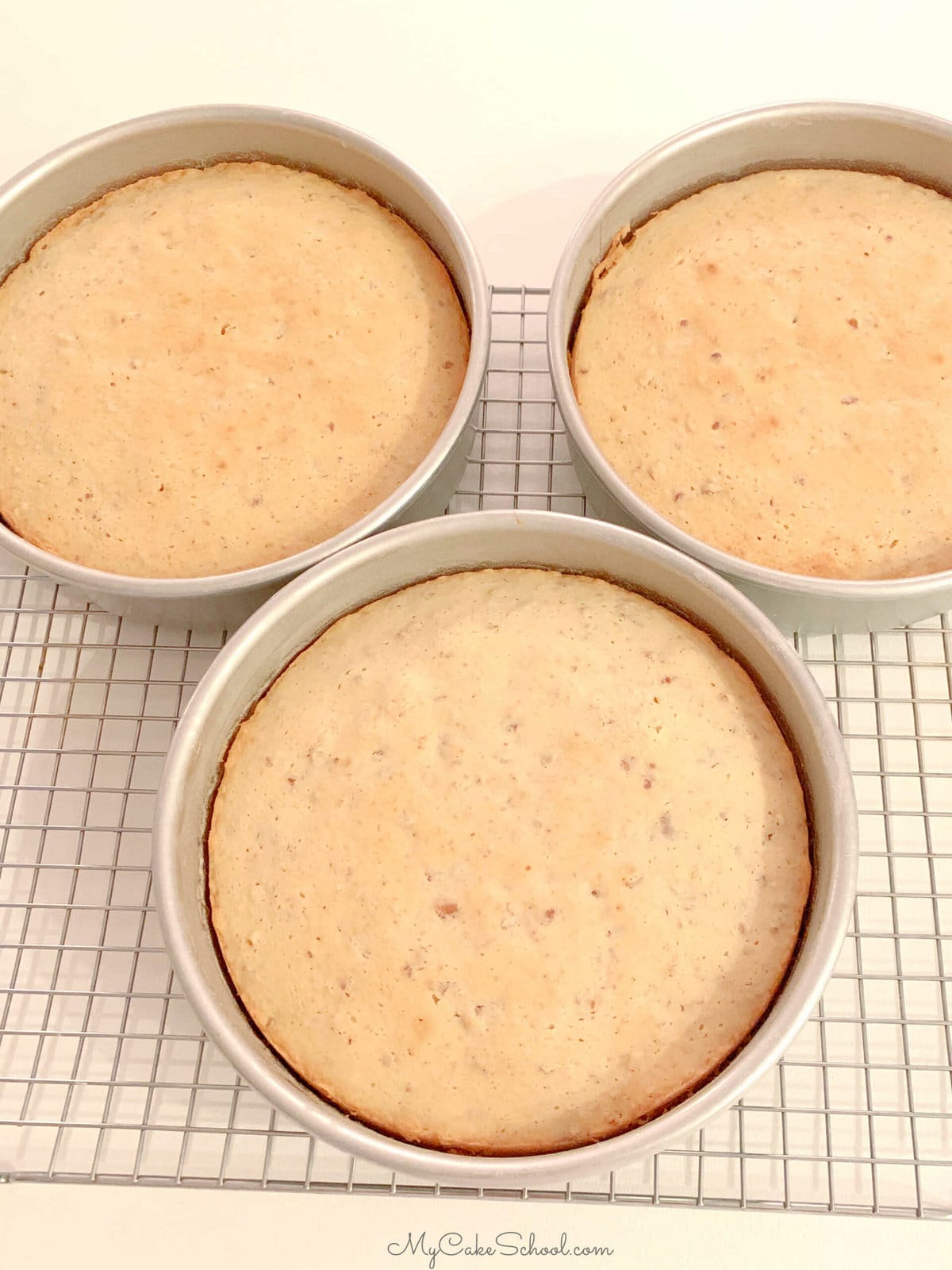 Freshly baked Caramel Pecan Cake Layers in pans on cooling rack