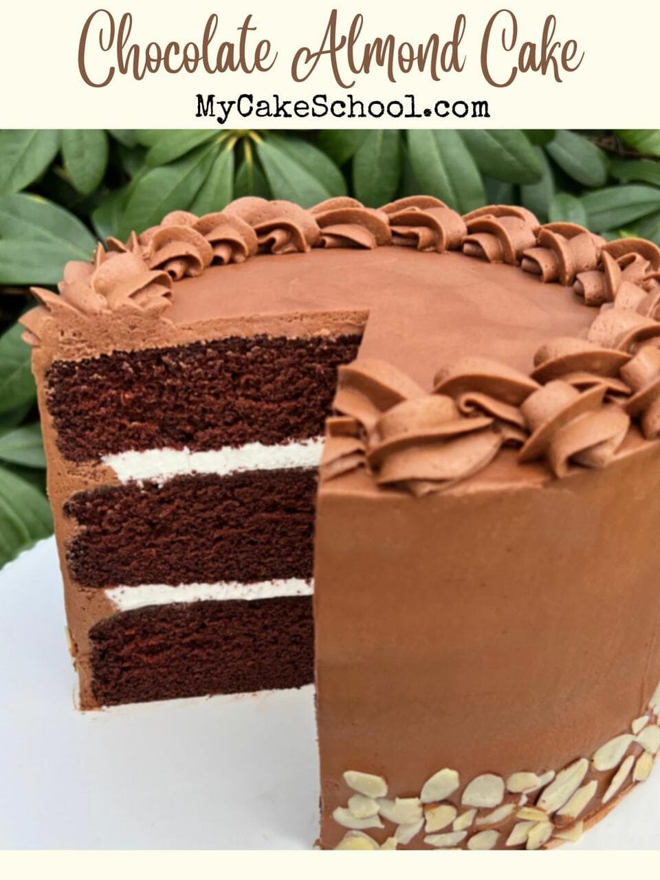 Chocolate Almond Cake My Cake School