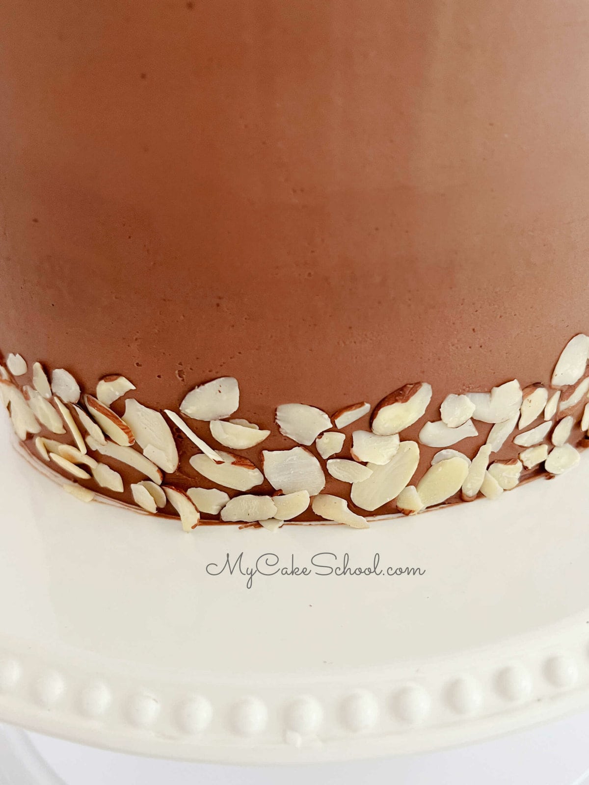 Closeup of Sliced Almond Border around Bottom of Cake