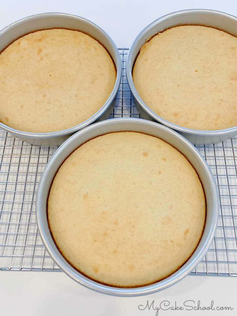 EASY GLUTEN FREE CAKE RECIPE visual data 3