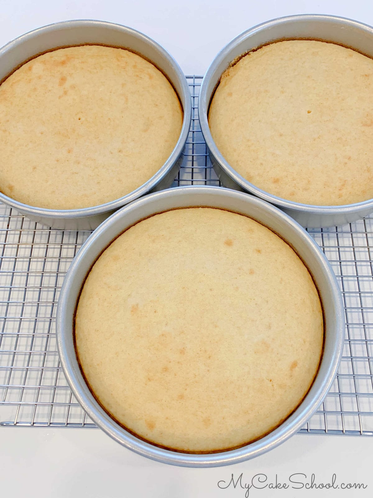 Three freshly baked cake layers in pans