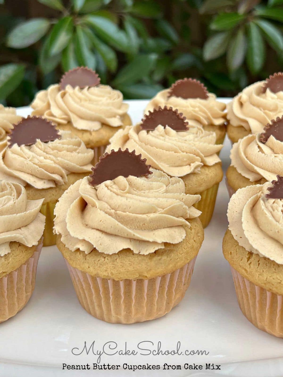 Peanut Butter Cupcakes on a Cake Platter, topped with Reese's Cups.