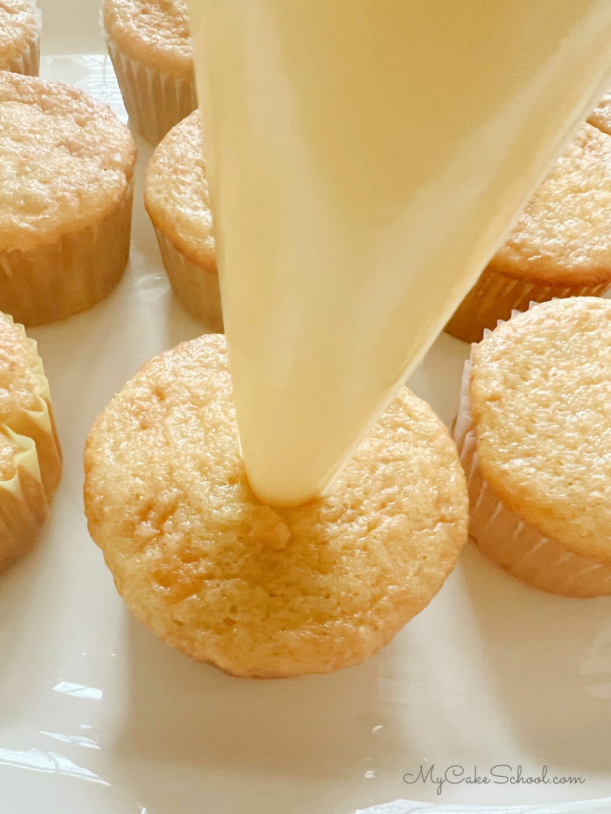 Piping Bag with Vanilla Cream Filling is inserted into unfrosted cupcake