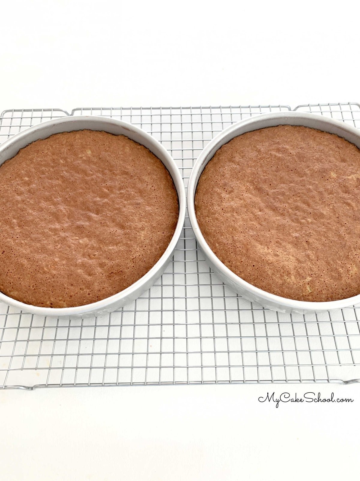 Two carrot cake layers, in pans, cooling on wire rack