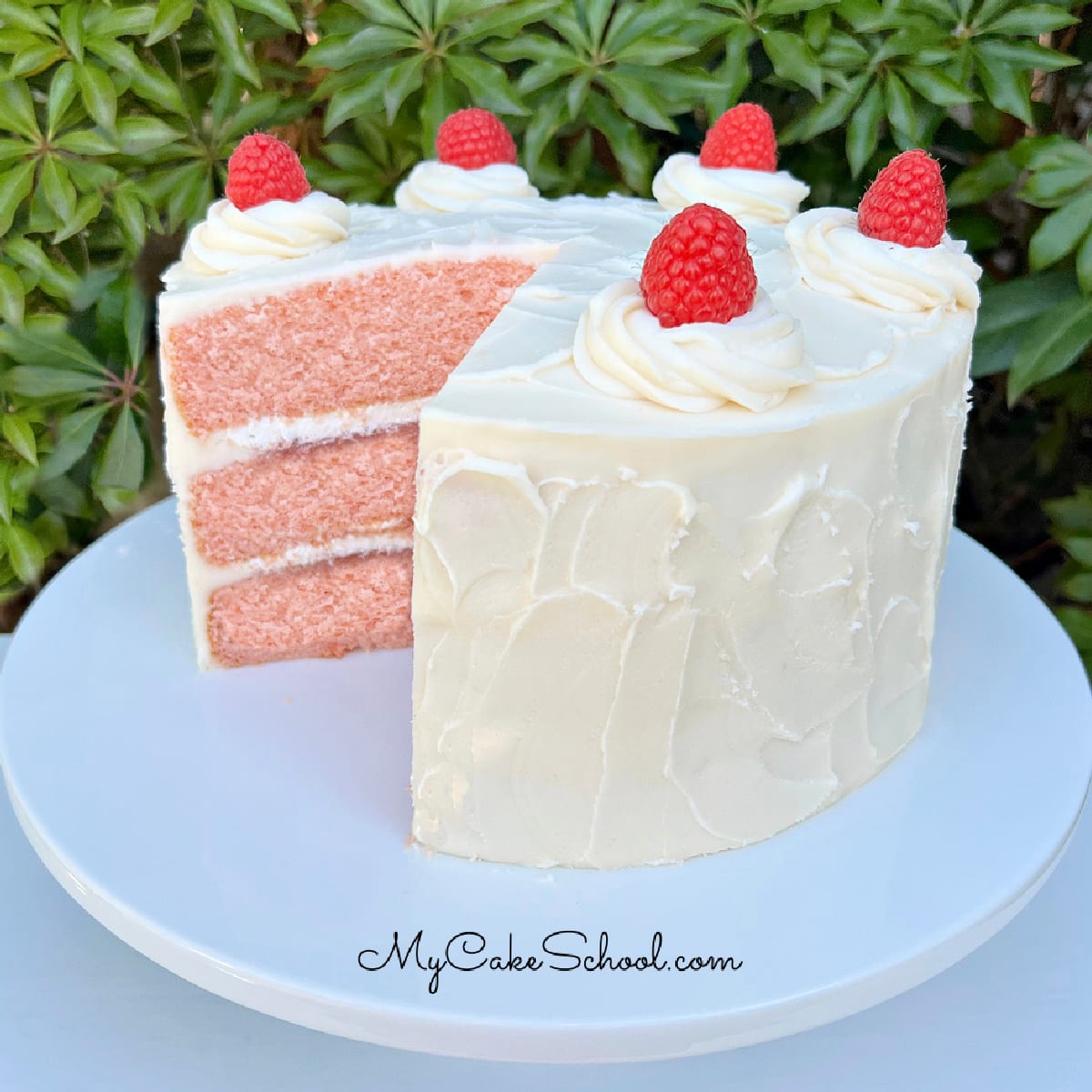 Sliced Champagne and Raspberries Cake