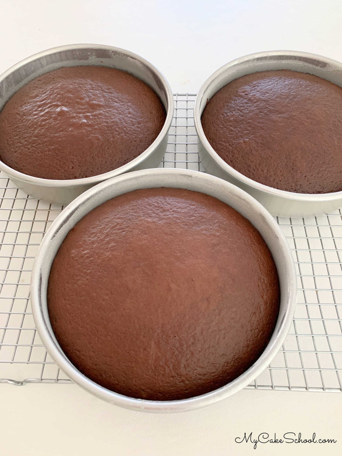 Freshly baked Mocha Cake Layers in pans cooling on wire rack