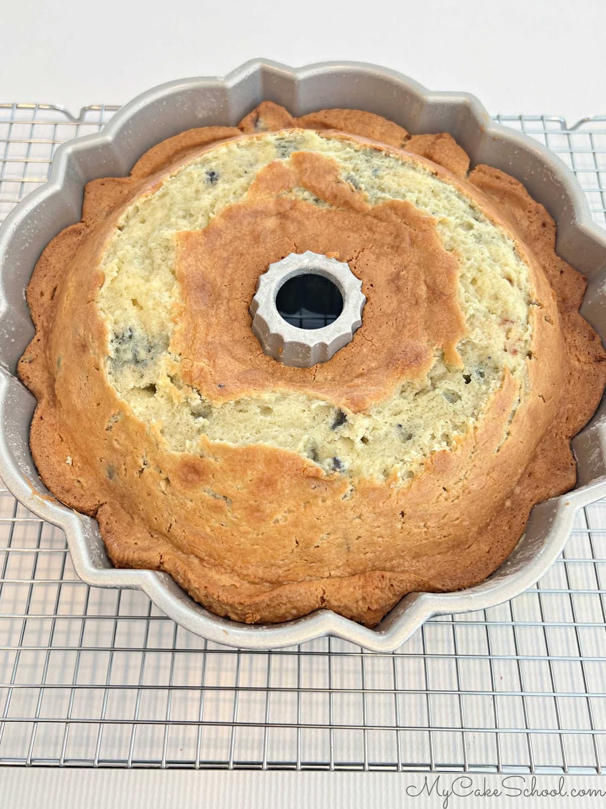 Freshly Baked Blueberry Bundt Cake, still in pan on a wire rack
