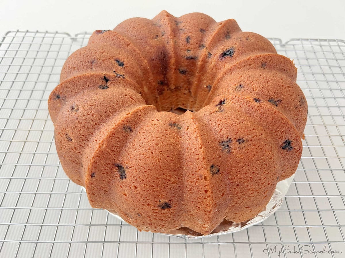 Freshly baked blueberry bundt cake just after turning out of pan