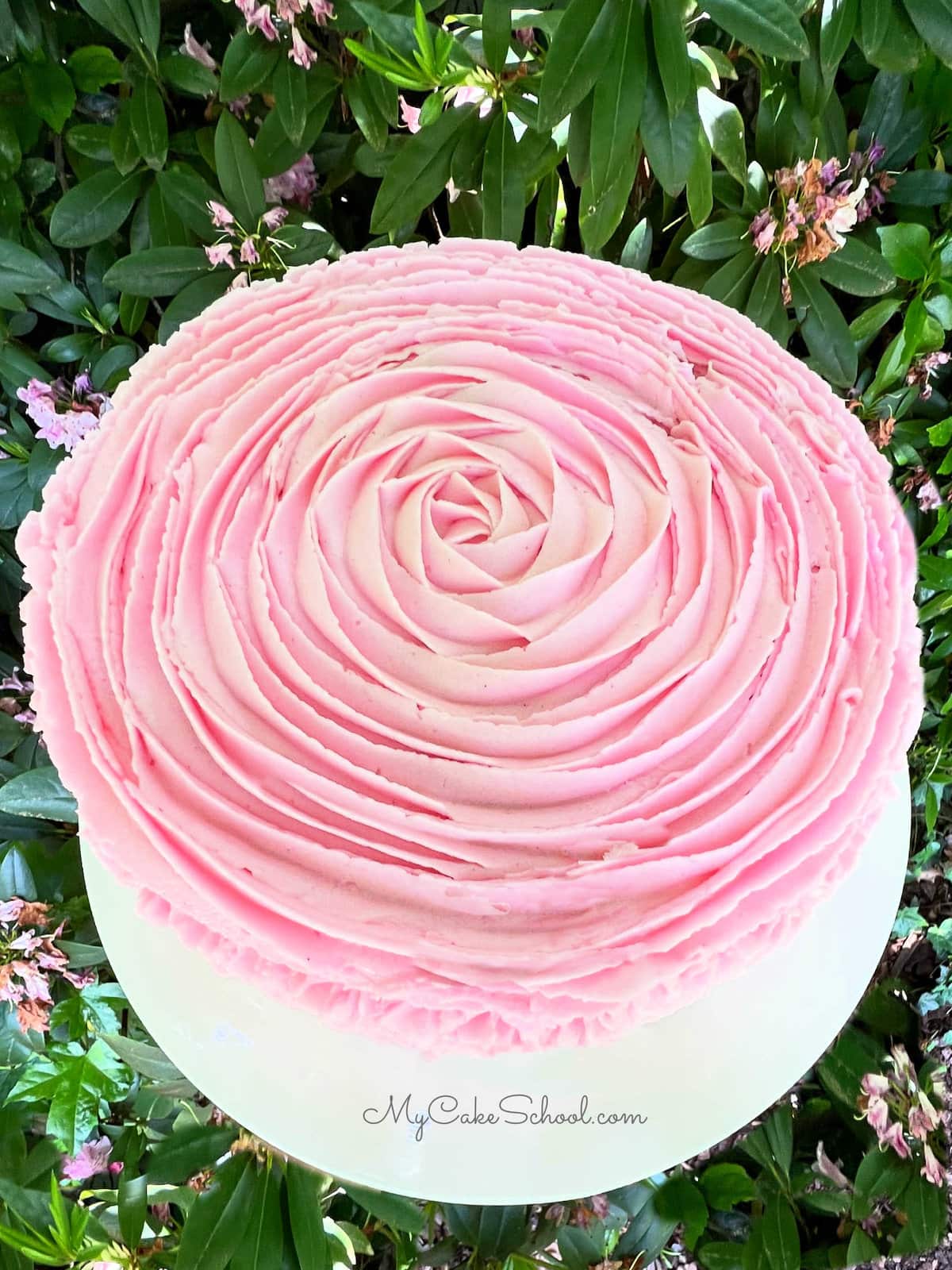 Top view of a cake topped with a large rose swirl of buttercream.