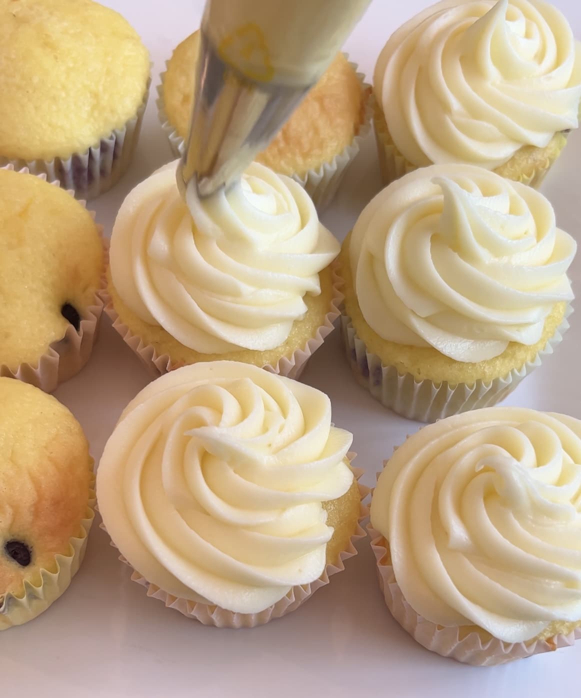 Frosting the Lemon Blueberry Cupcakes with a 1M piping tip