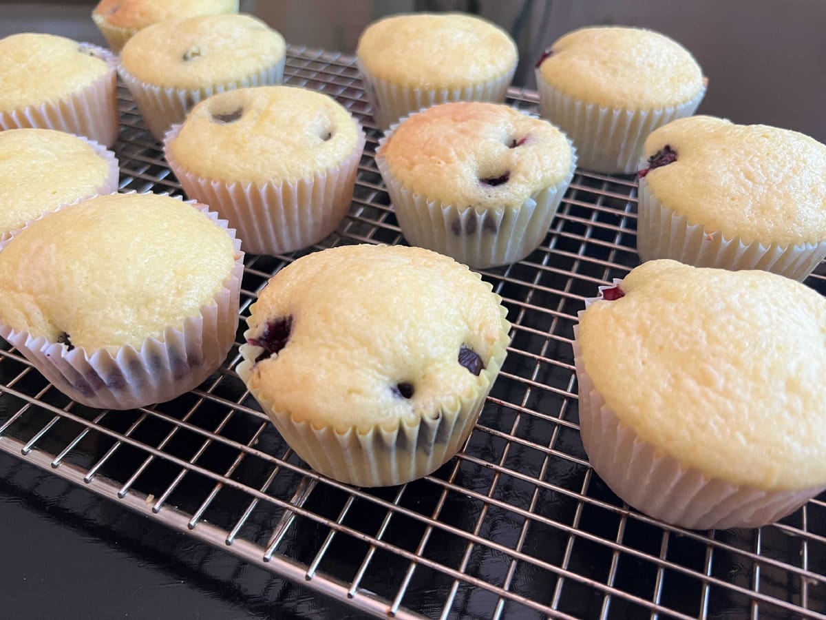 Lemon Blueberry Cupcakes, freshly baked, on cooling rack