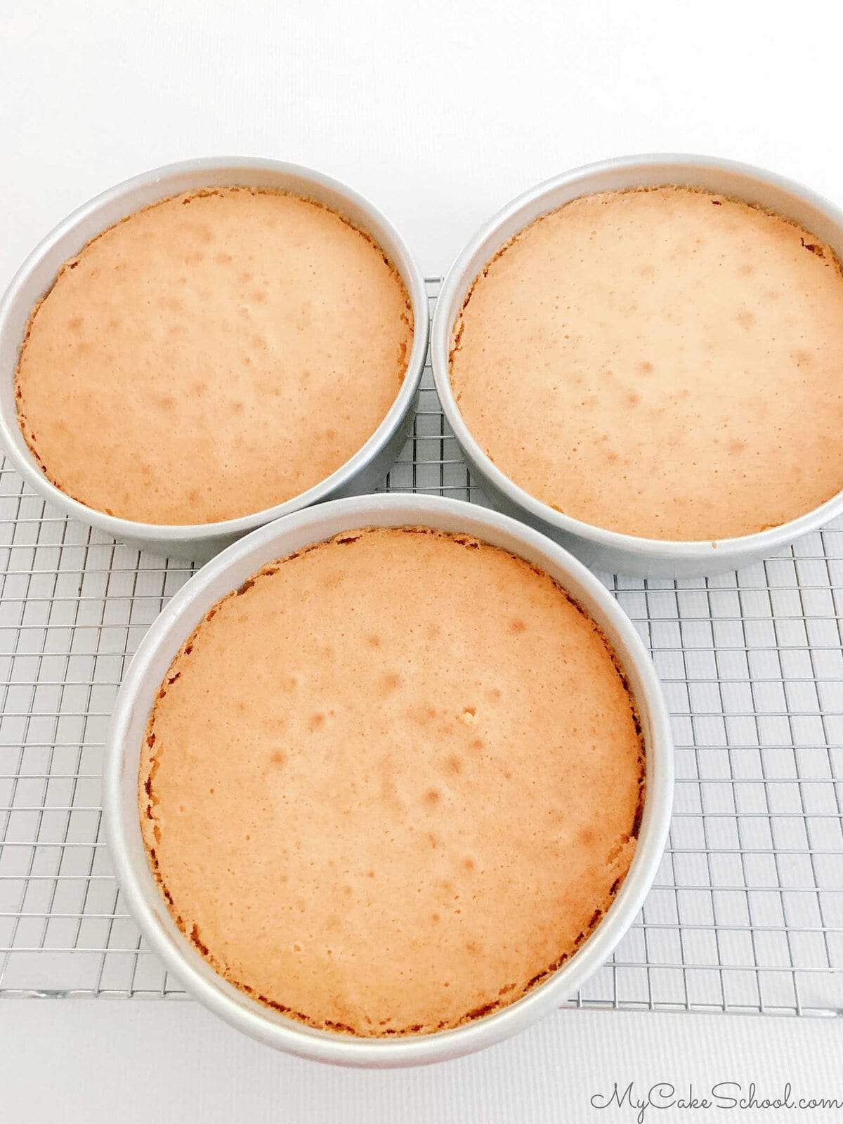 Orange Cake Layers in pans