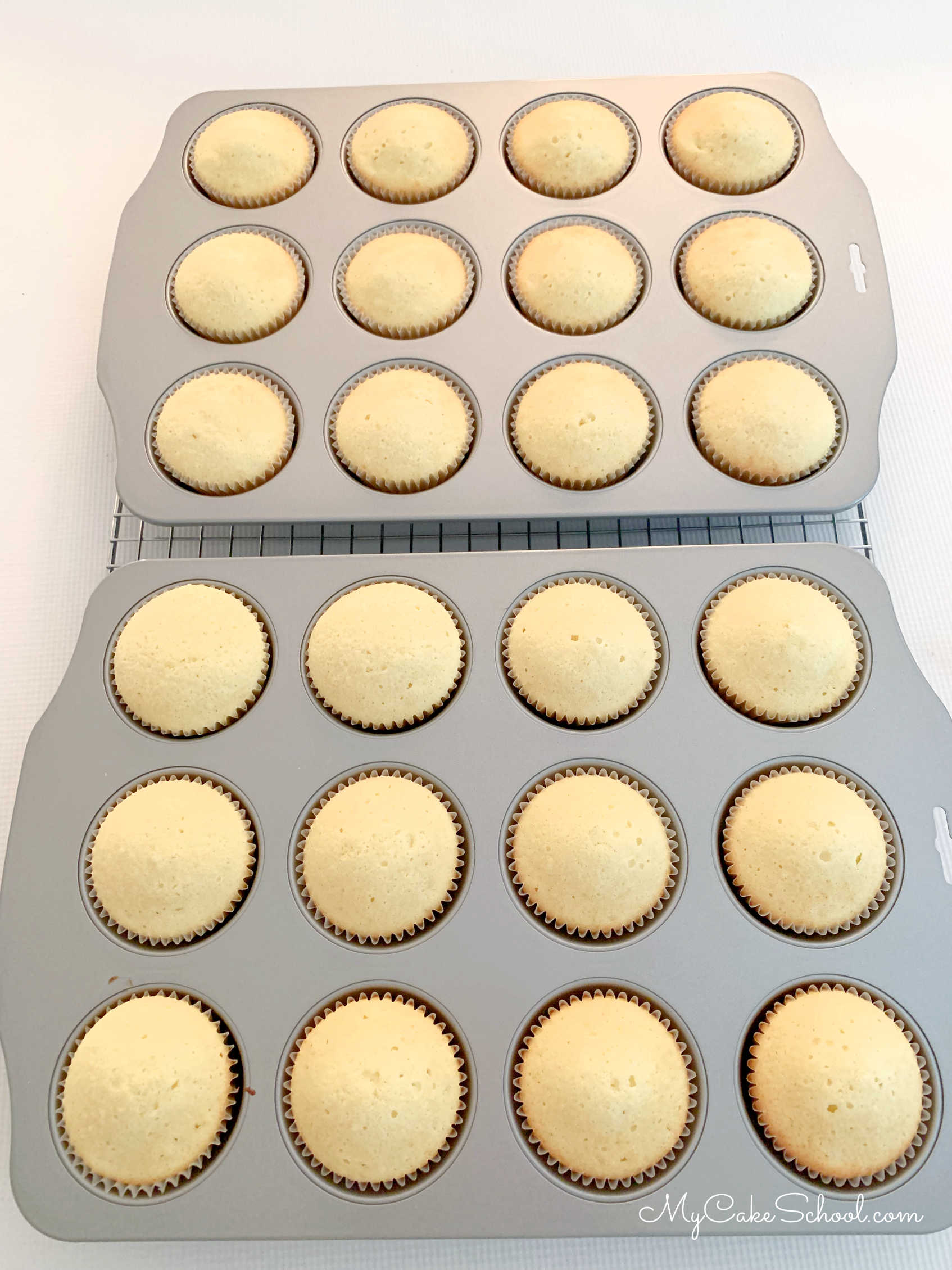 Two cupcake pans filled with freshly baked vanilla cupcakes