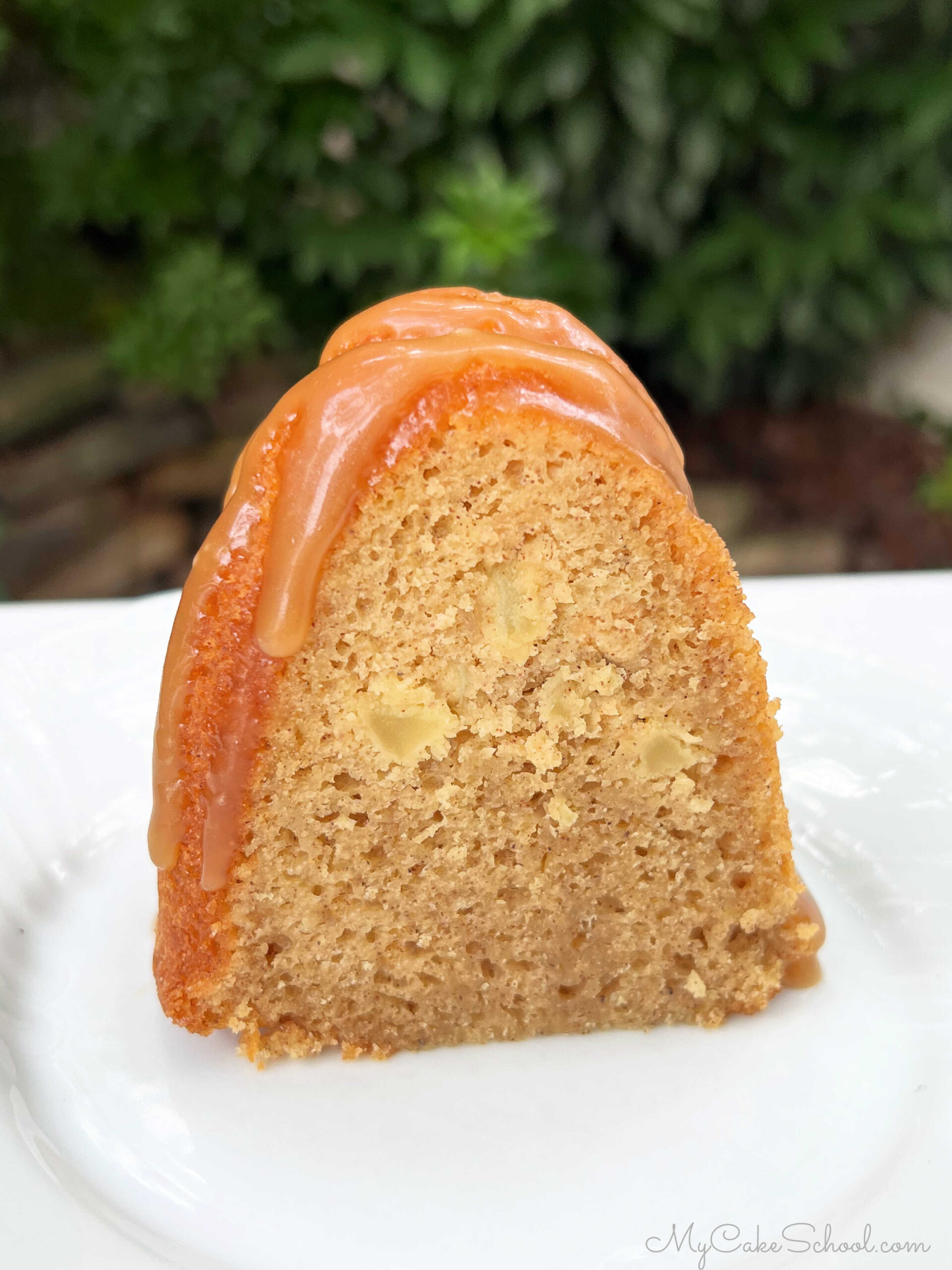 Moist slice of apple bundt cake on a white plate.