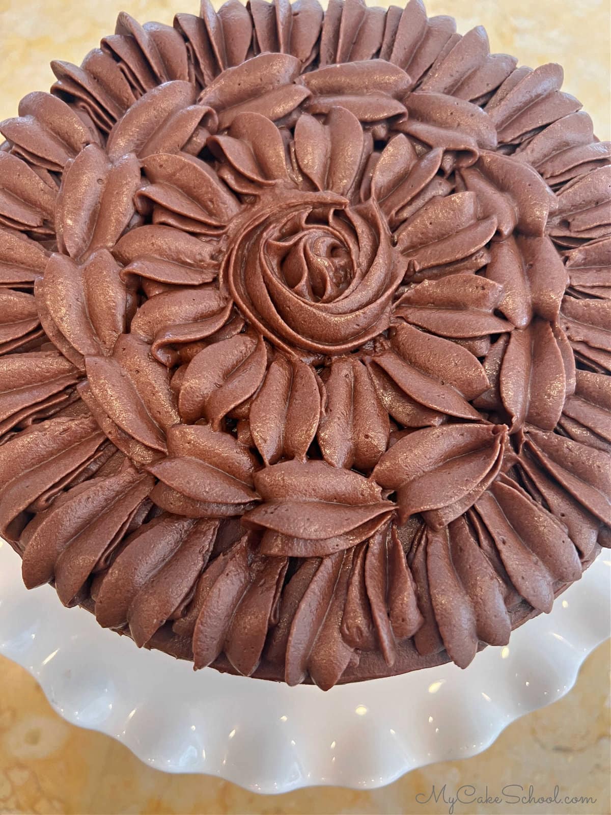 Top view of the decorated brownie cake. Lots of buttercream shell piping.