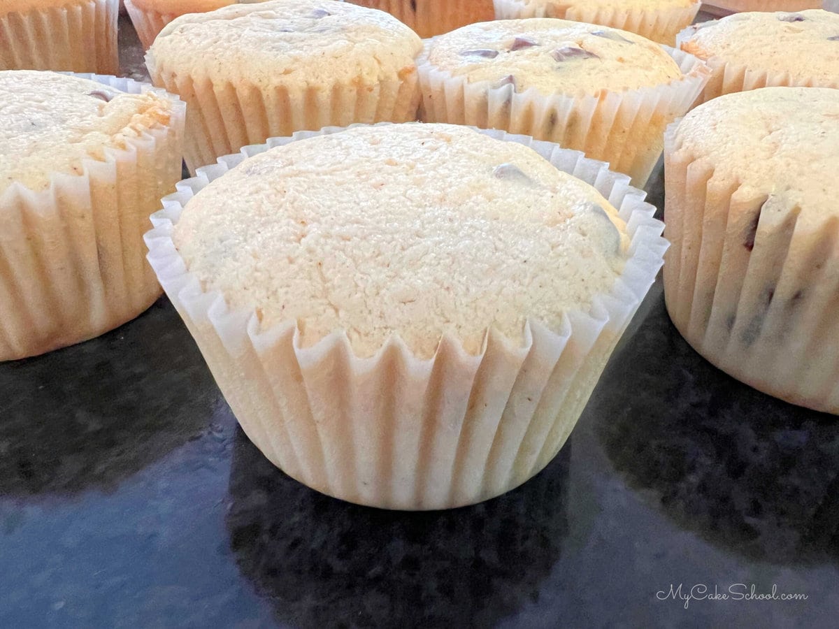 Chocolate Chip Cupcakes, freshly baked.