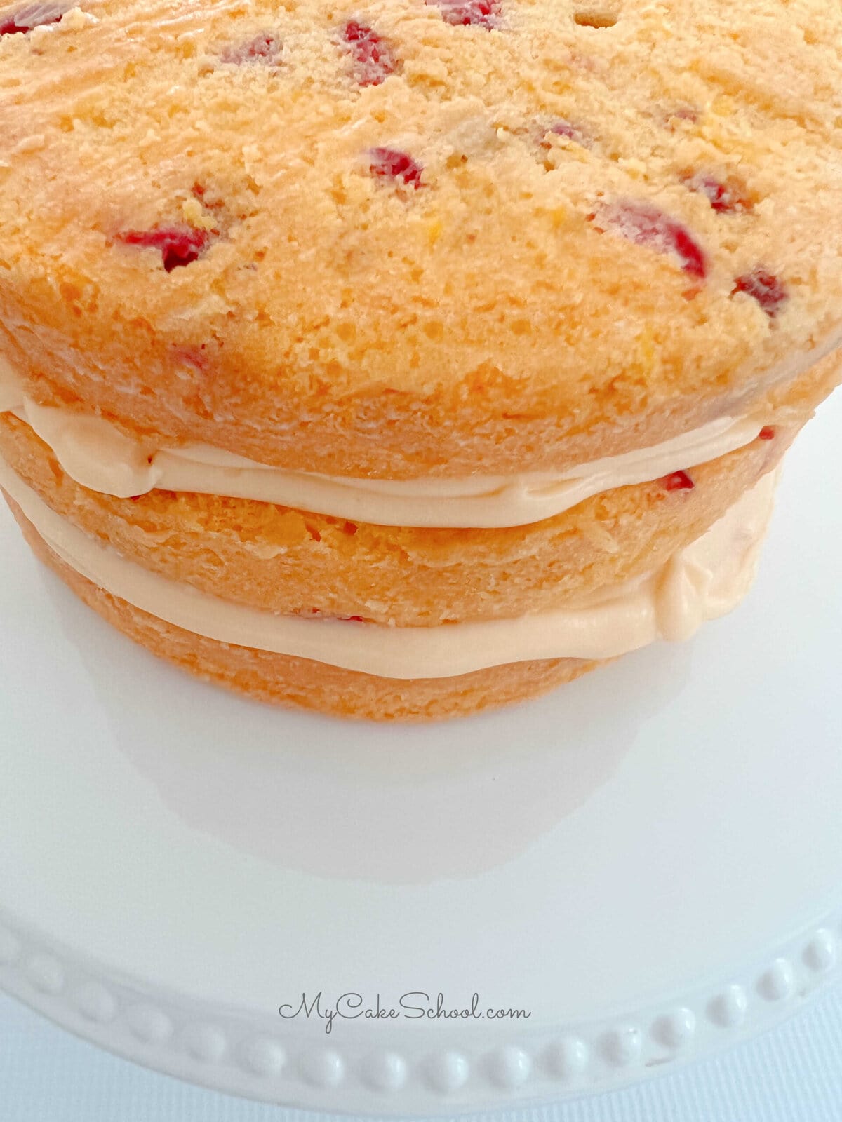 Filled, unfrosted cranberry orange cake.