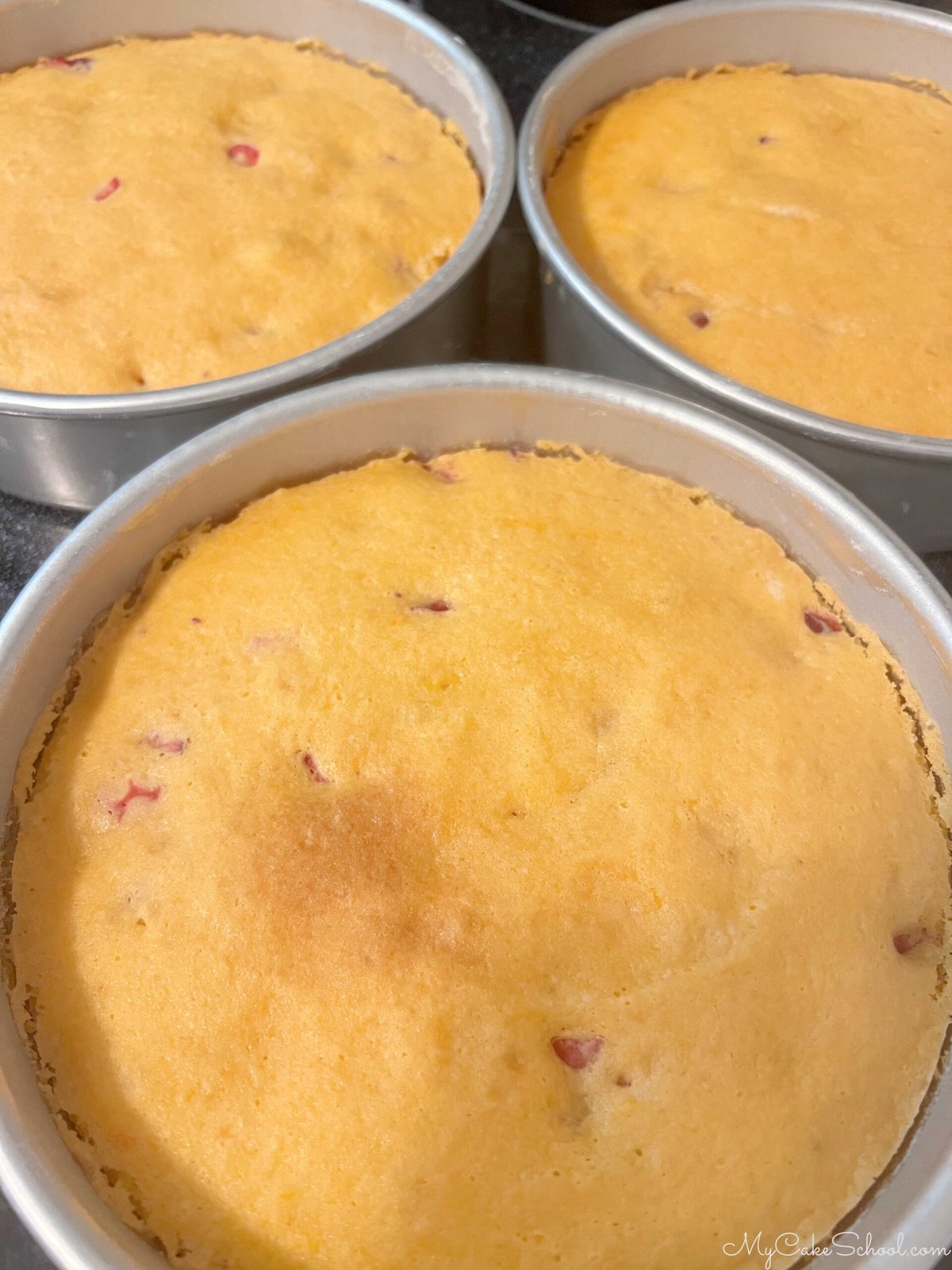 Freshly baked Orange Cranberry Cake layers, still in pans.
