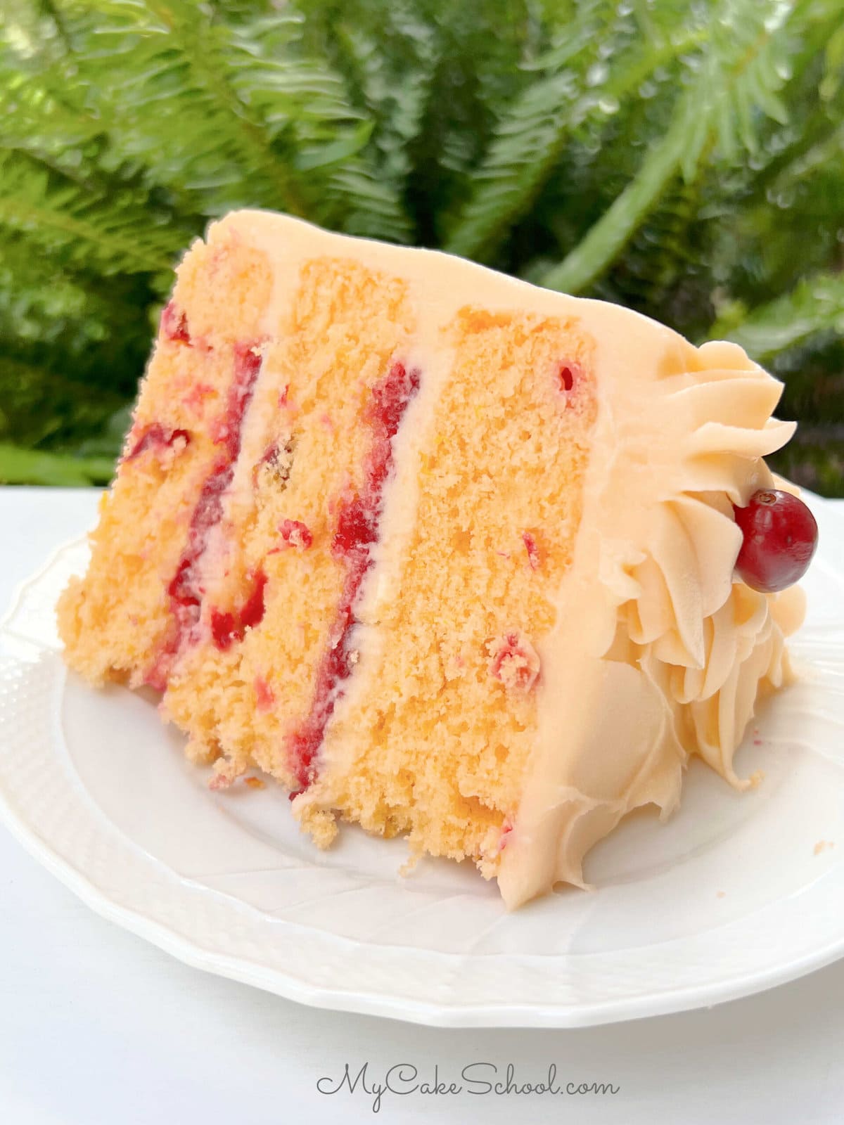 Slice or Orange Cranberry Cake on a plate.