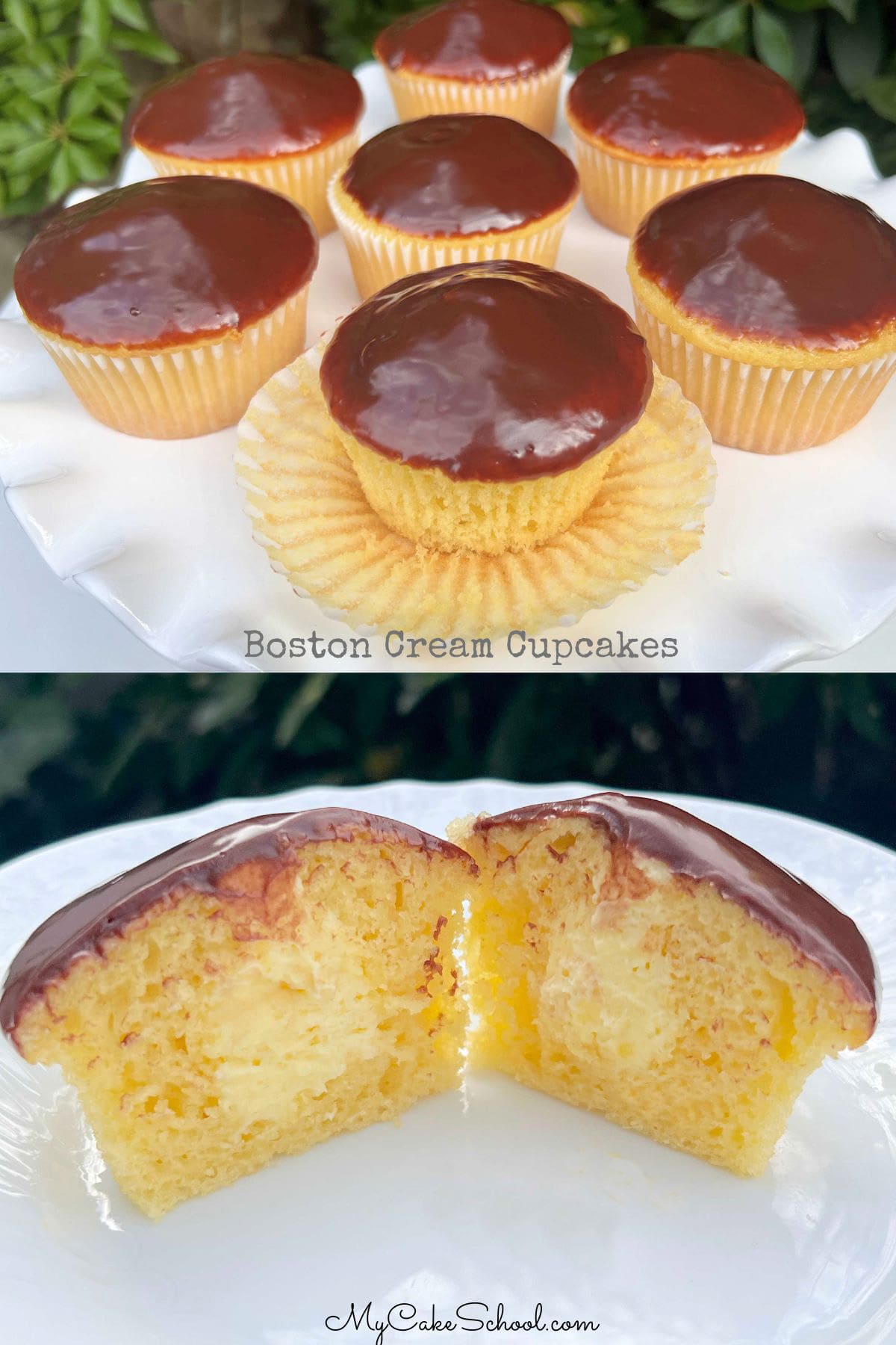 Boston cream cupcakes on platter, one is sliced.